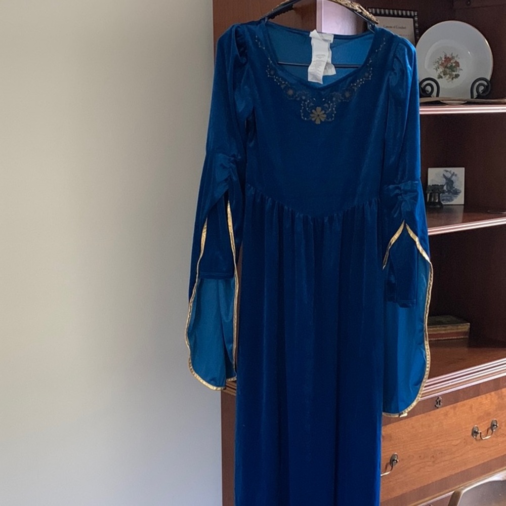 California Costumes Royal Blue Long Sleeve Dress